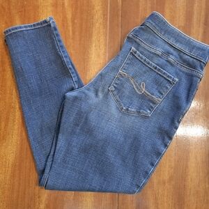 Lee Women's Blue Skinny Jeans